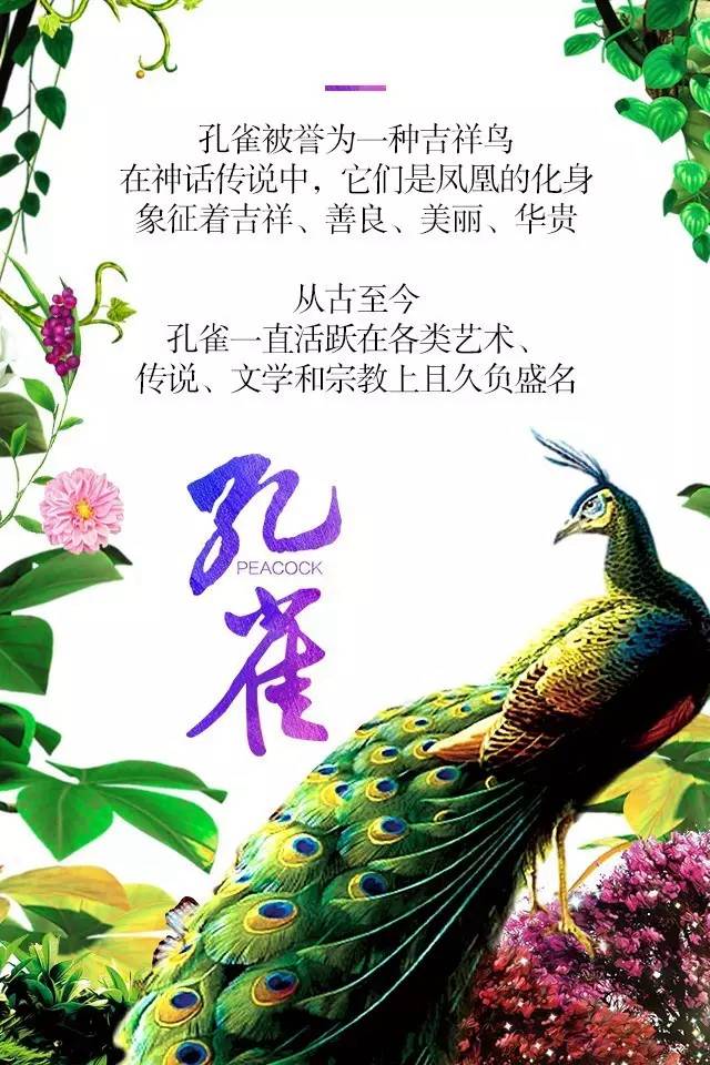 【915-918邵陽秋季車展】鳳臨枝頭，雀雀雀雀雀實驚艷！